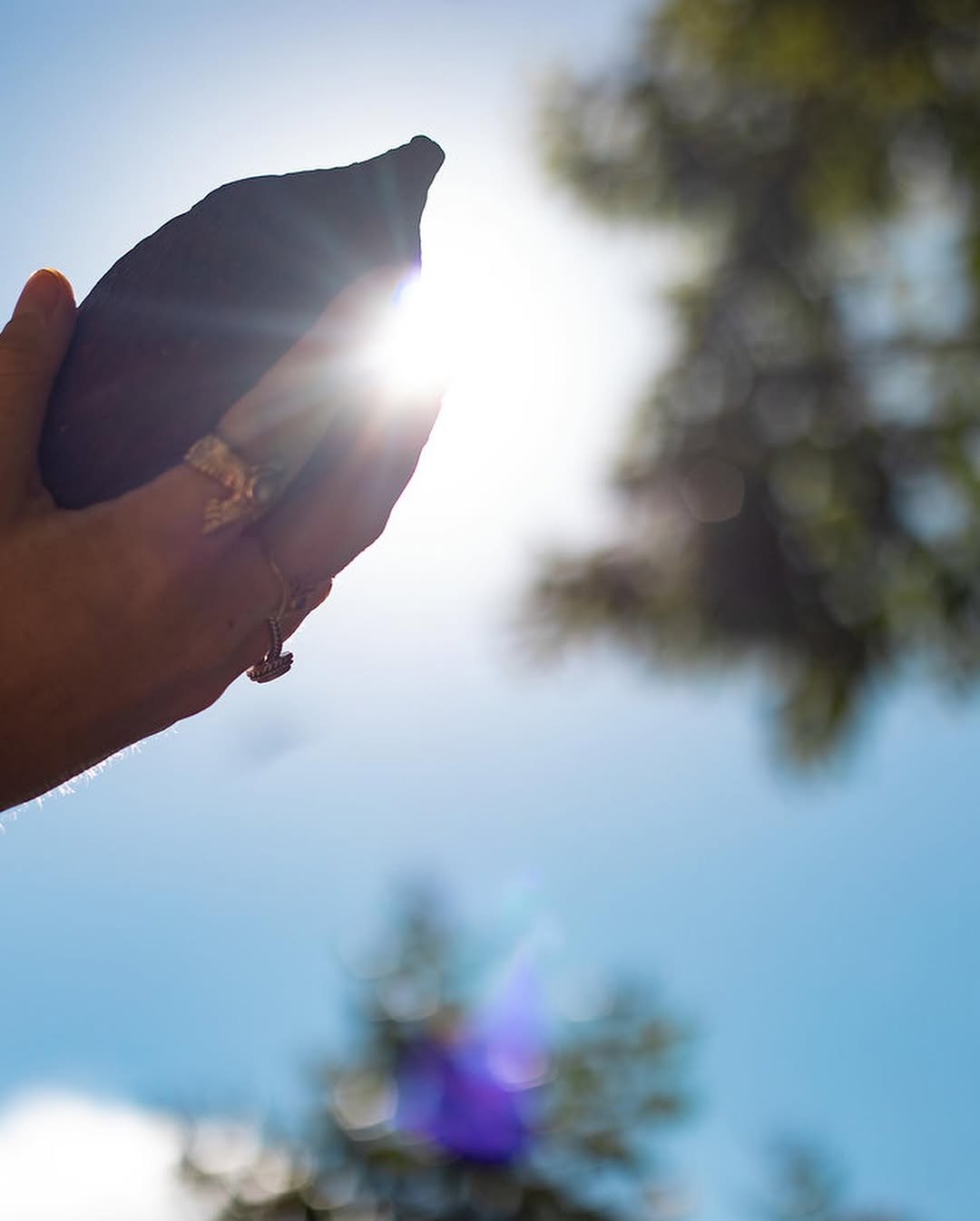 A cacao pod held up to the sunlight